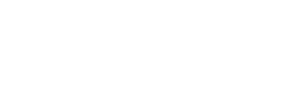 Developer Logo